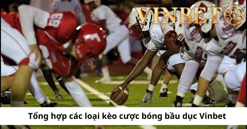 Các loại kèo cược bóng bầu dục Vinbet